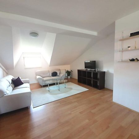 Apartment Lily Near Zagreb Airport Велика-Горица Экстерьер фото