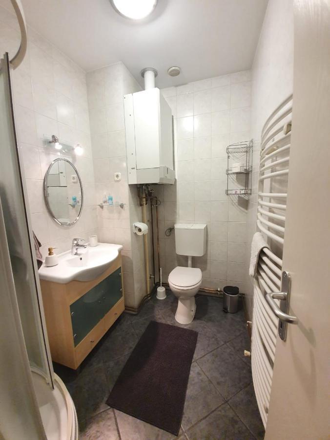 Apartment Lily Near Zagreb Airport Велика-Горица Экстерьер фото